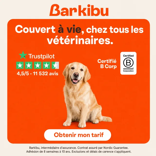 An ad Baker made for Barkibu