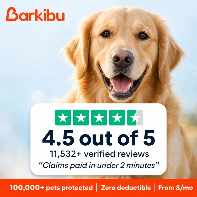 An ad Baker made for Barkibu